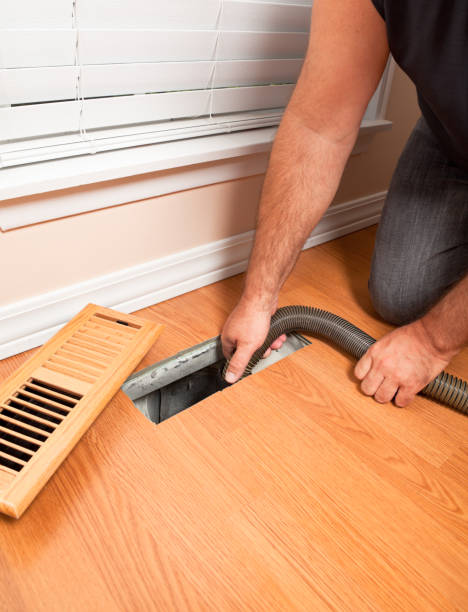 Best Emergency Air Duct Cleaning  in Citrus Park, FL